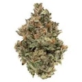 Fire OG 28g Dried Flower