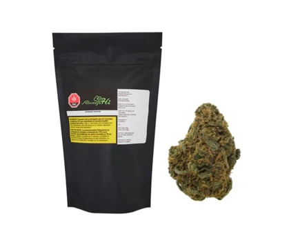 Always Hi - Durban Poison 14G Main Image