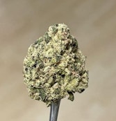 Magi - Hippie Sudz (28g)