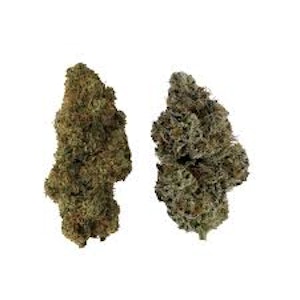 514 Cannabis - 514 Cannabis - HOMA Dual Pack - Dried Flower