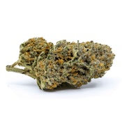 REDECAN - WAPPA - 1G