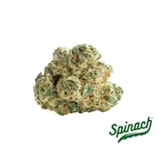 SPINACH - SPACE CAKE - 3.5 GRAM