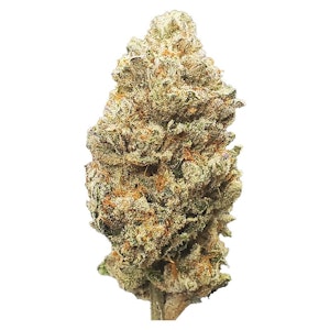 Papa Joe's Organics - PAPA JOES ORGANICS - BLUEBERRY SHIZZLE - 7 GRAM