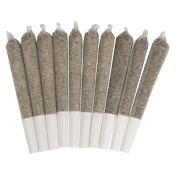 MANGO HAZE PRE-ROLLS 10 x .35g