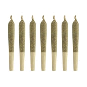 SEVENS - AMBASSADOR PRE-ROLLS - 7 x.5g