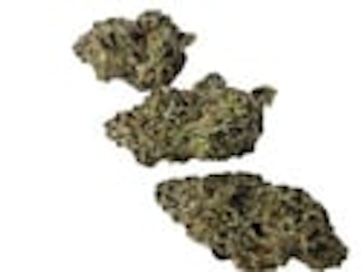 Shucanna - SHUCANNA BERMUDA TRIANGLE - 28