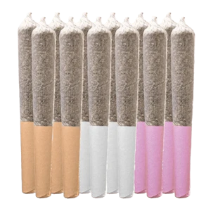 Station House - STATION HOUSE - SATIVA DAY TRIP VARIETY PACK PRE-ROLLS - 12 x.5g