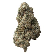 The Loud Plug | Sticky Bunz - Indica - 28g