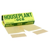 Bamboo 1 1/4 + Filters 100 Pack Rolling Papers, Cones and Filters