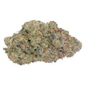 Thin Mint x Jealousy 7g Dried Flower