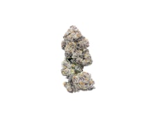 GASTROPOP - 28