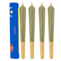 Indica 4 x 0.5g Pre-Rolls