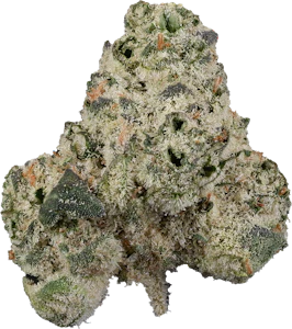 The Loud Plug - The Loud Plug - Tropicana Cookies | 14g