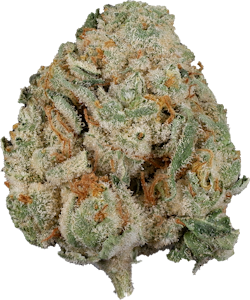 The Loud Plug - The Loud Plug - Venom OG | 28g