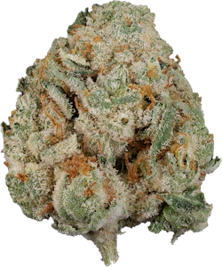 The Loud Plug - The Loud Plug - Venom OG | 3.5g