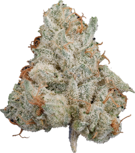 Tribal - Tribal - Bubble Up | 3.5g