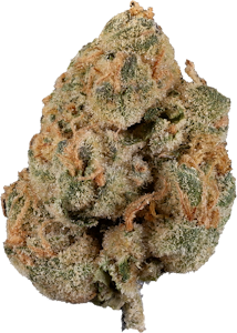 Tribal - Tribal - Triple Burger | 3.5g