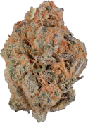 Sheeesh! - Trop Cherry | 3.5g