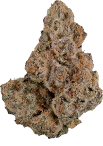 Orchid - Orchid - CBD Rntz | 3.5g