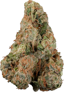 Next Friday - Next Friday - Research Institute | 28g