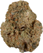 Strains - Wild Stallion | 3.5g