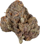 Terp Nerdz - Zealousy | 3.5g