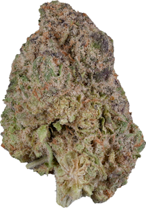 Next Friday - Yesterdaze  - News | 14g