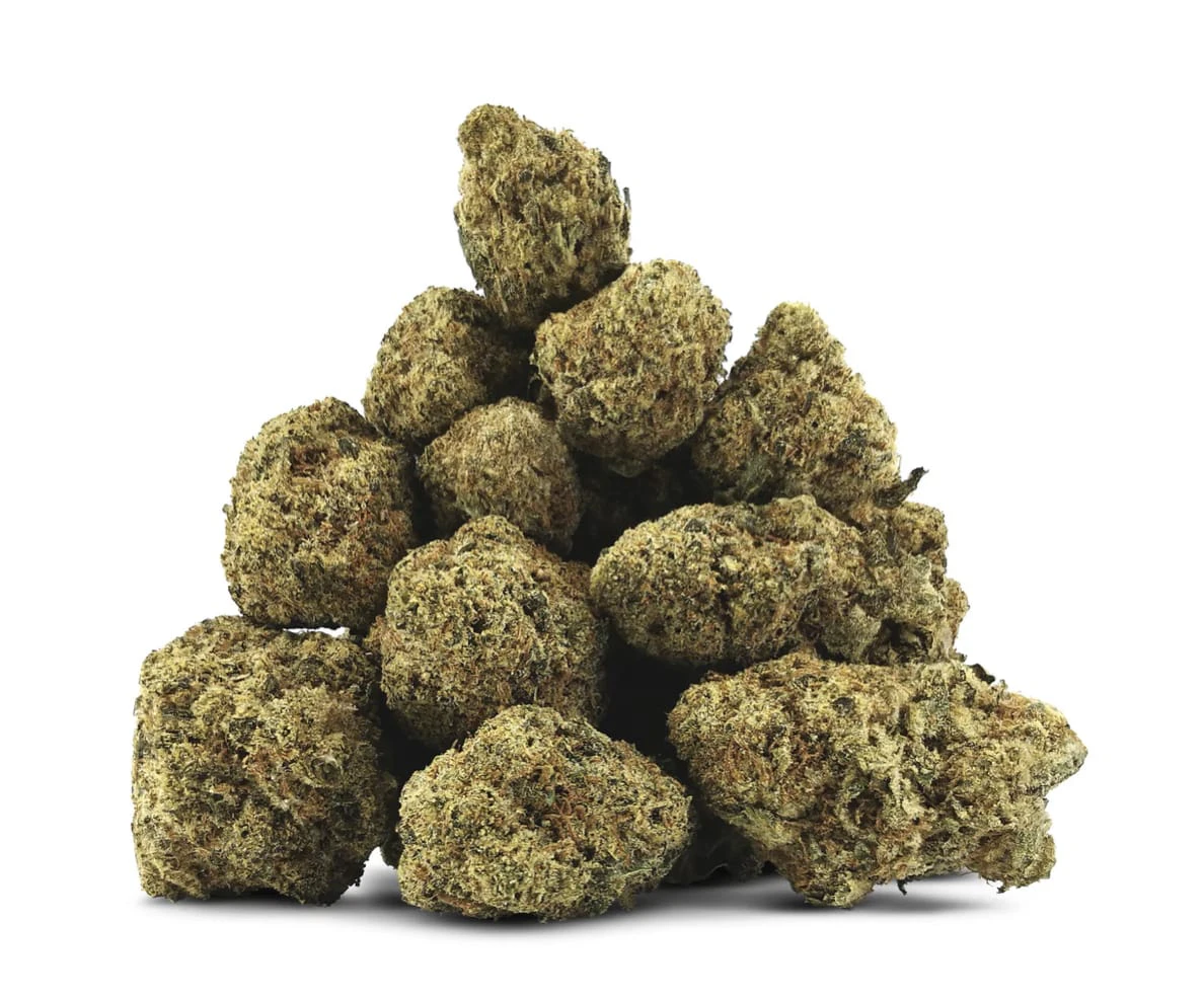 BC OZ - BC OZ - Golden Hour Gelato (28g) Main Image