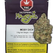 MOBY DICK - 3.5