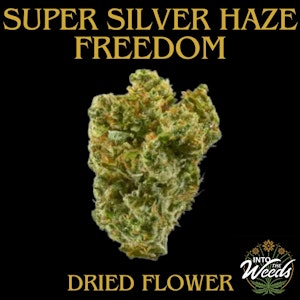 Freedom Cannabis Inc. - Super Silver Haze - 14g