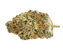 GORILLA MILK | Pure Sunfarms 3.5g Flower | Elevate