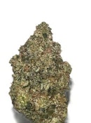 MOBY DICK | Salt Spring Magic 3.5g Flower | Elevate