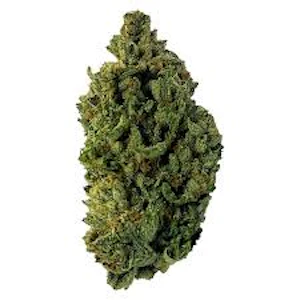 Ministry of Sativa - Ministry of Sativa - Durban Diesel