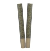 Ignite Straight Cut 2pk JOINTS 1g