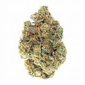 1964- NY LEMON DIESEL FLOWER- 7G