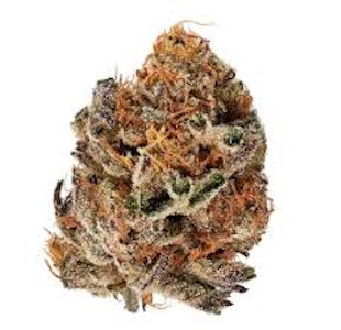 3Saints - 3Saints - Crumbled Lime - Dried Flower