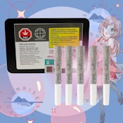 BONG GURU ROCKSTAR - ROGWORLD - 5X0.5G (DFG)