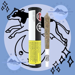 1964 - COMATOSE - ORGANIC - 1964 - 1X1G