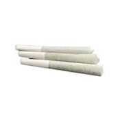 FROSTED ORANGES INFUSED PRE-ROLLS - 1.5