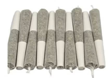 ShuCanna - SHUCANNA GRAPE JELLY PRE-ROLLS - 3.5