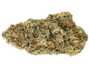 Woody Nelson - Rainbow Driver Craft Flower