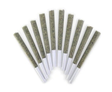 BC Doobies - 10 x 0.5g  Pier Pressure Pre-Rolls