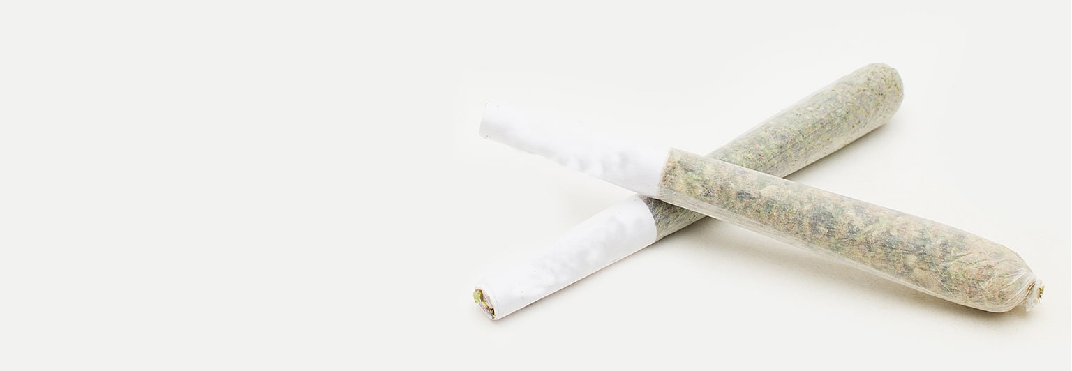 2 x 1g Ignite Pre-Rolls