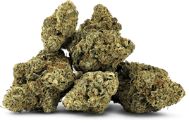 LYCHEE DREAM - 7g