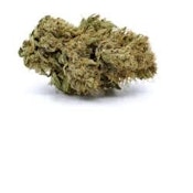 REDECAN - COLD CREEK KUSH - 1G