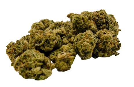 Green Mountain Health Alliance - Mangoz - 14g