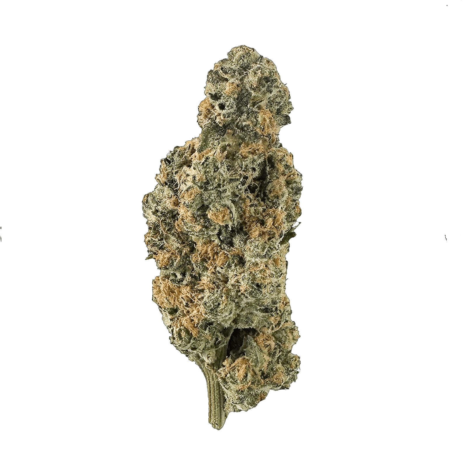 THE FLORIST (VT) - 7g Main Image
