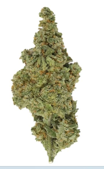 Blue Gumdrops - 14g