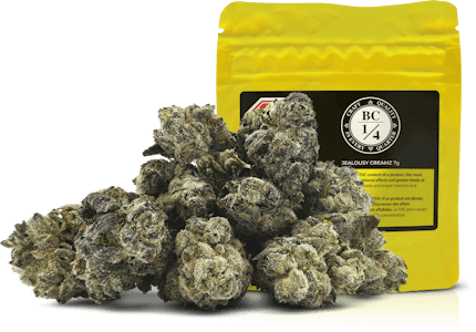BC 1/4 - BC 1/4 OZ- JEALOUSY CREAMZ FLOWER- 7G