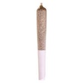 Apple Fritter 10x0.5g Pre-Roll